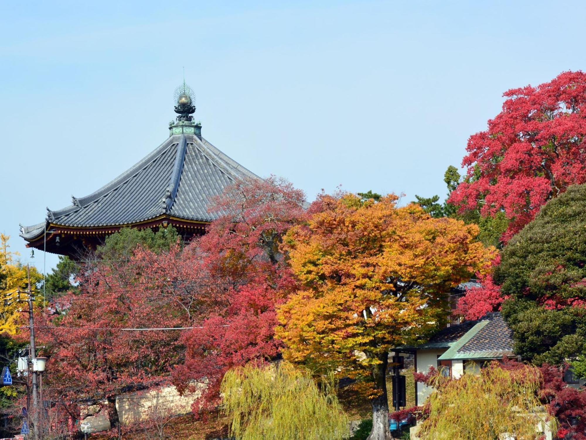 Nara - Hotel / Vacation Stay 47950 エクステリア 写真