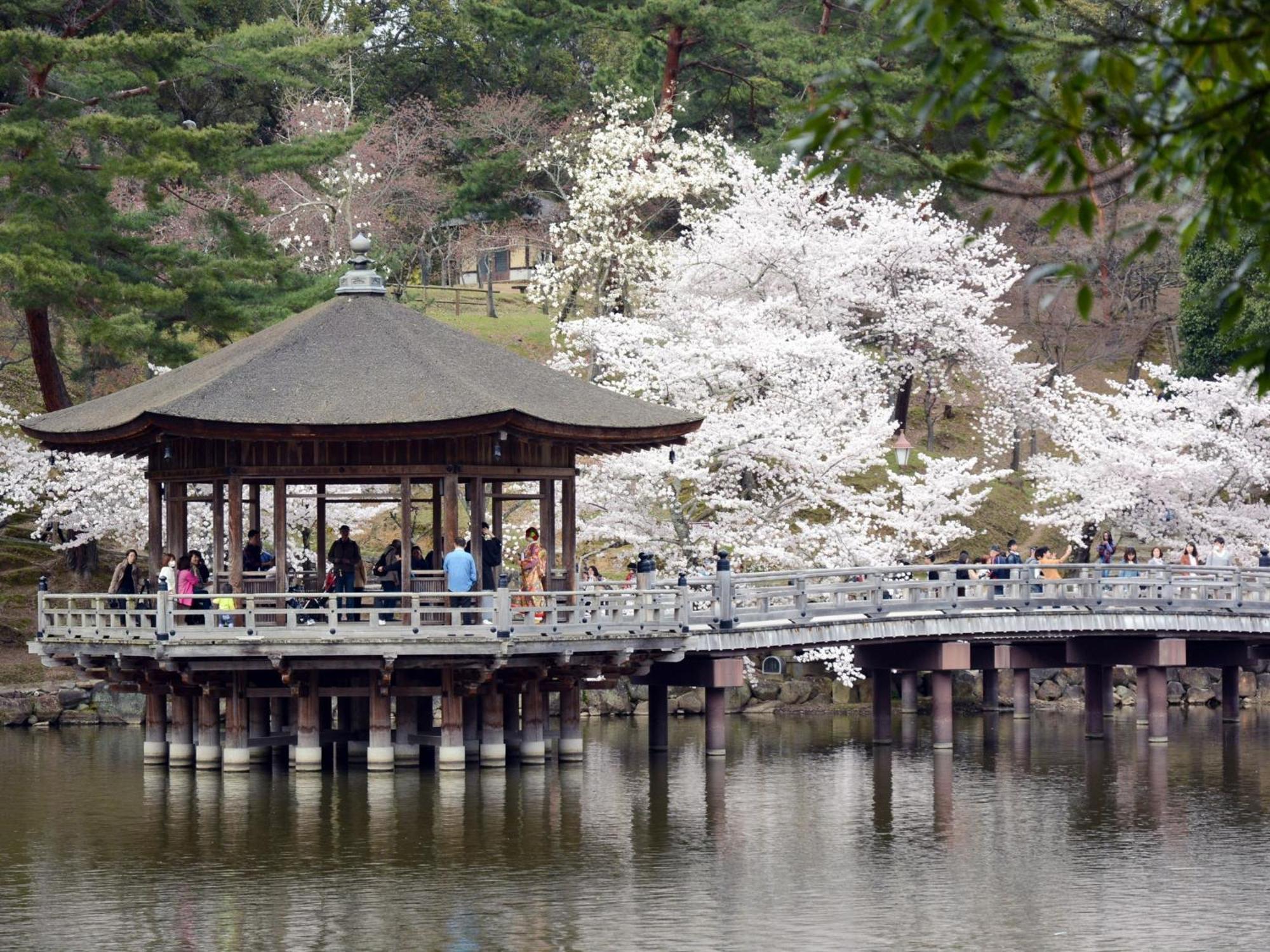Nara - Hotel / Vacation Stay 47950 エクステリア 写真